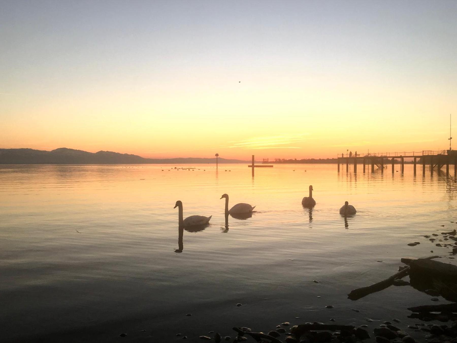 Ferienwohnung Insel-Ambiente Lindau  Dış mekan fotoğraf